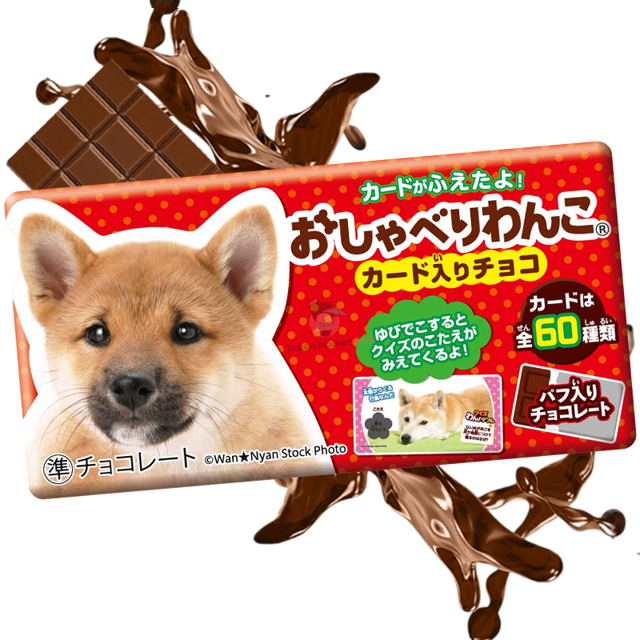 Chocolatina Shoei Talking Dog 17,5g